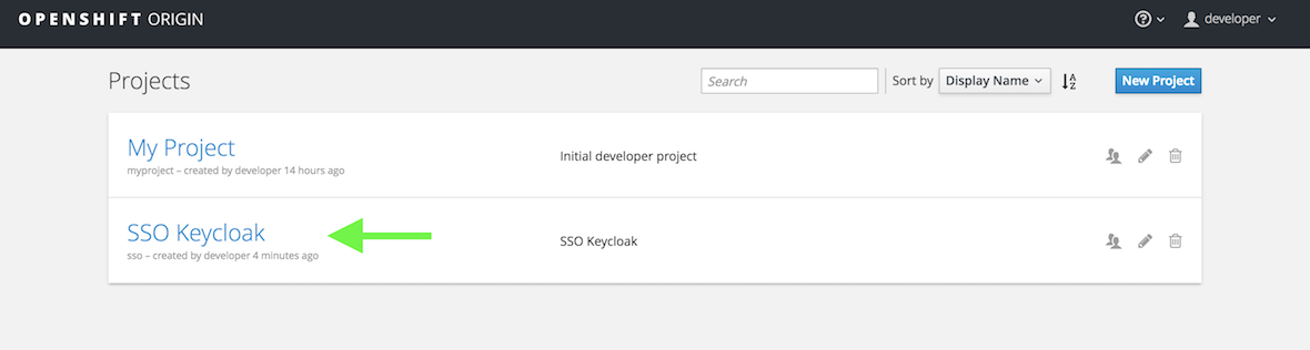 sso project
